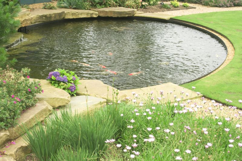 Pond Erosion Prevention