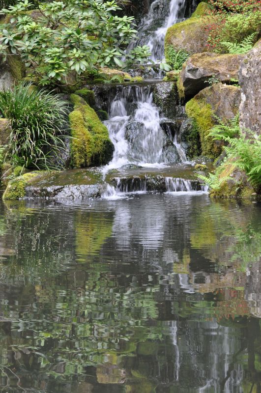 Eco-Friendly Options