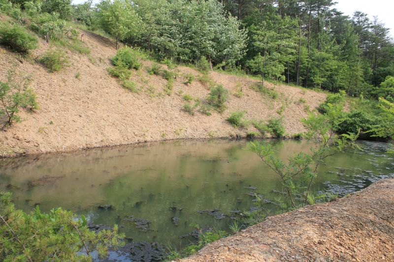 Products For Pond Erosion Preventions in use